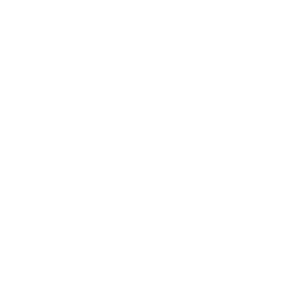 Fuerza y Alegría - Transparente